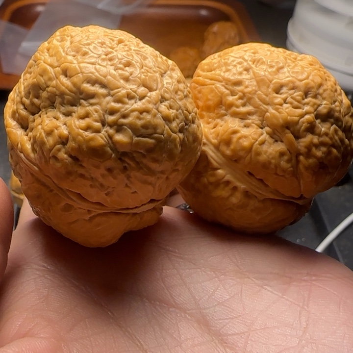 文玩核桃把件聚宝金蟾王45