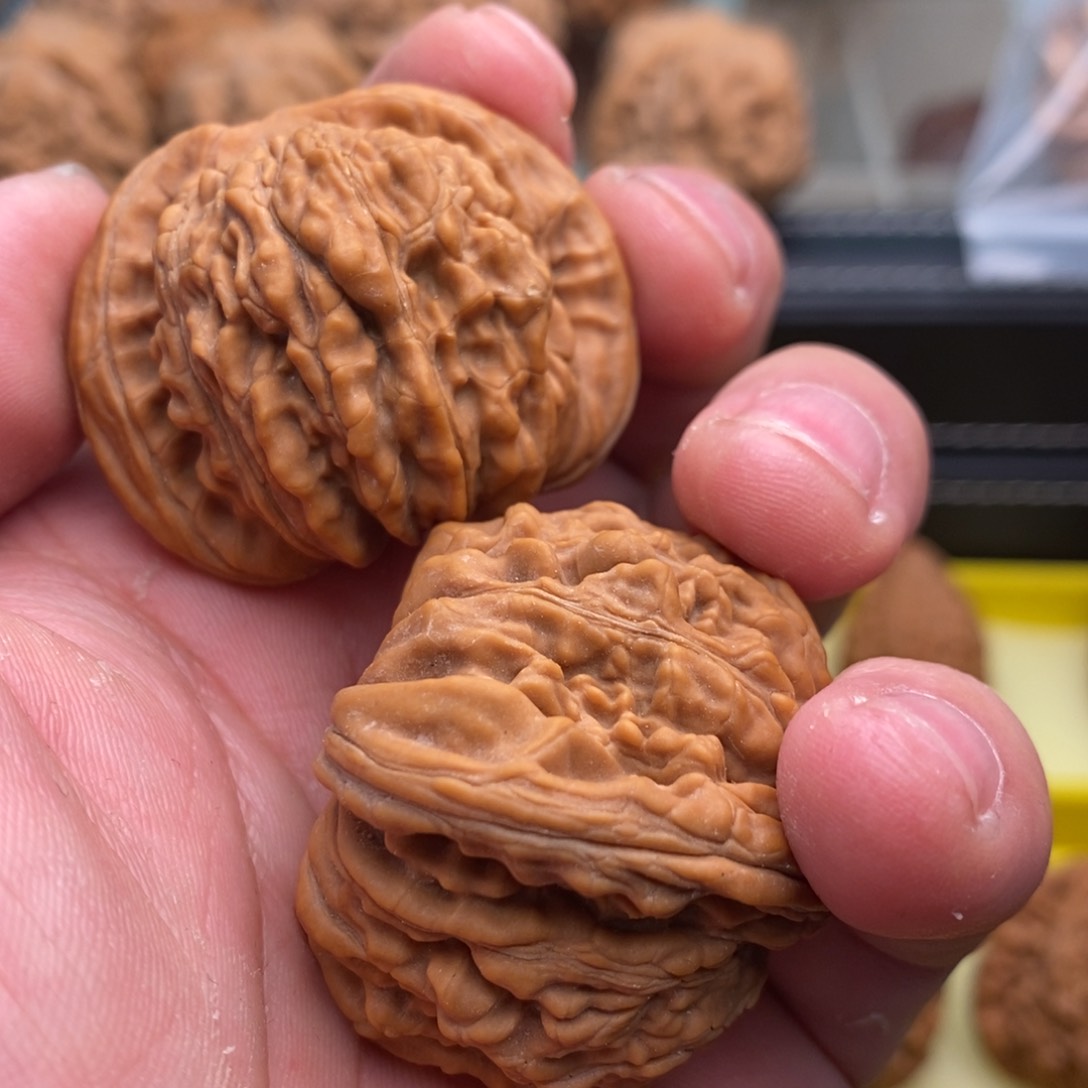 核桃手串/手链专**剑全品楼子1, . .