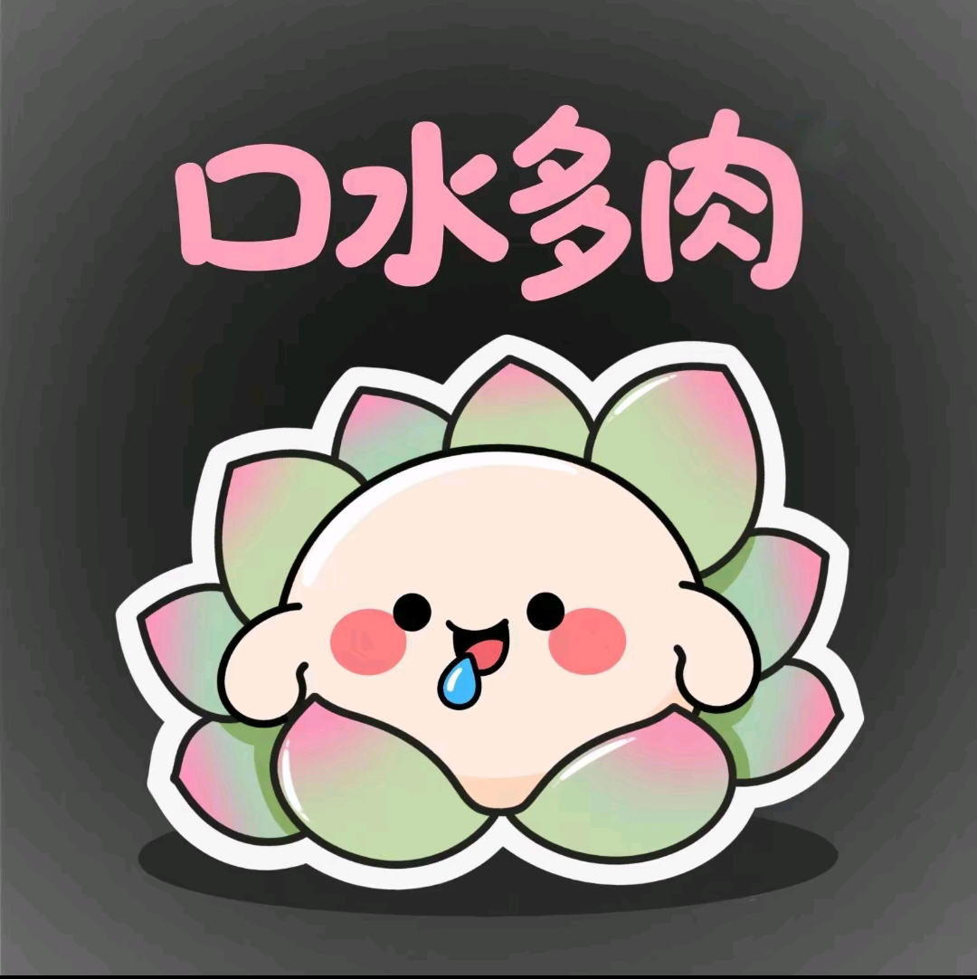 12月18号晚口水多肉3号链接