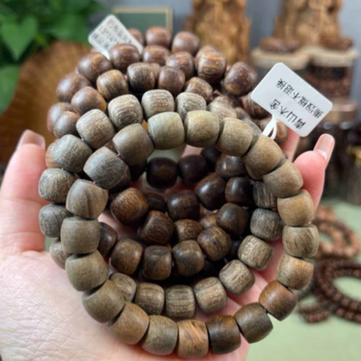 （粗抛福利不退换）巴布亚贡木高油脂老型单圈