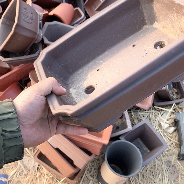 紫砂优秀青年科技人才会