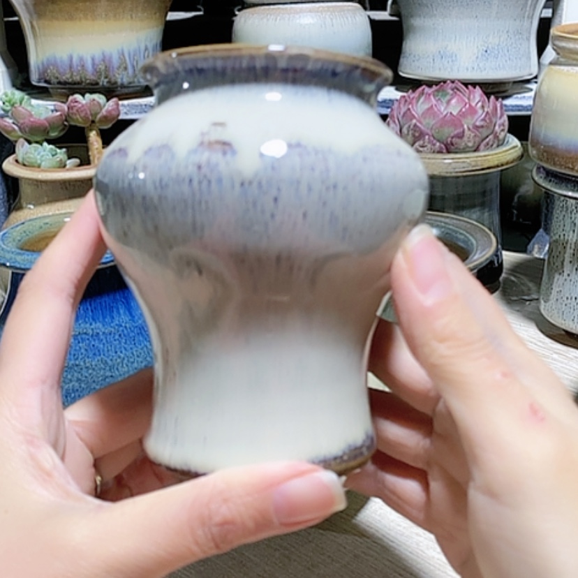 【闪购商品】红陶口6