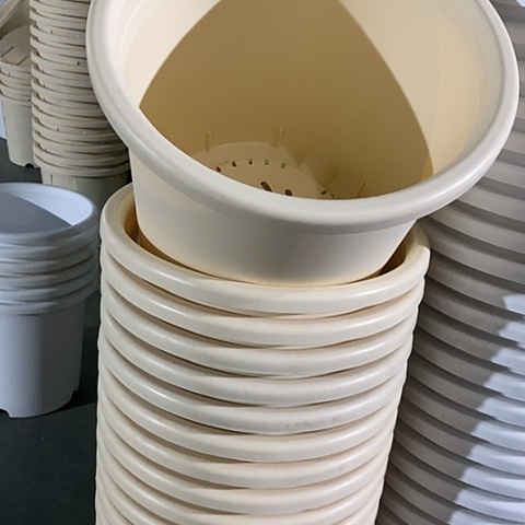 树脂四季9号米黄无托4个