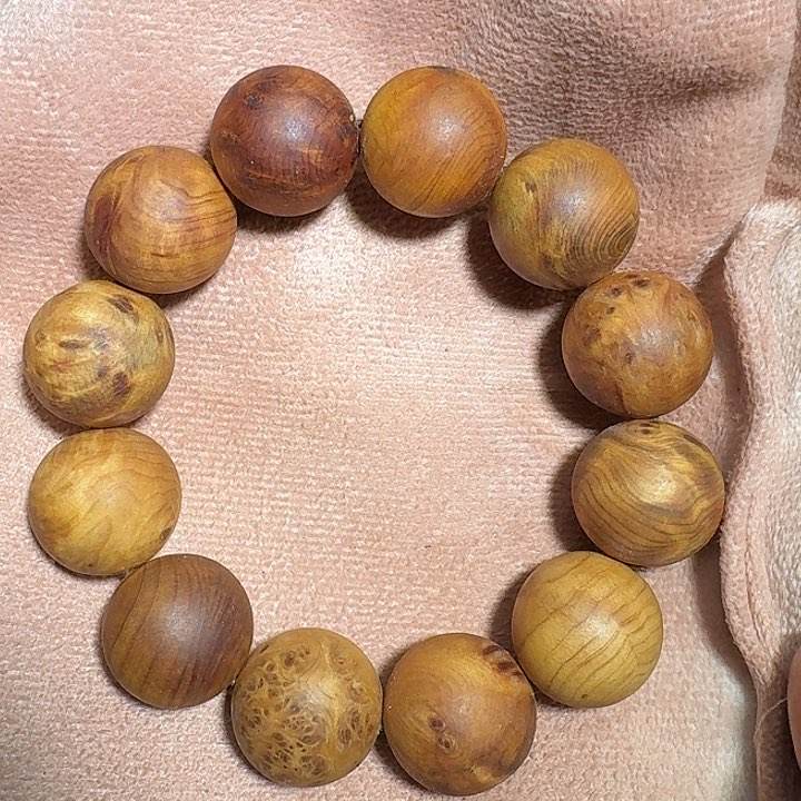 【闪购商品】柏木（崖柏）2.0/12瘤疤花尾牙福利