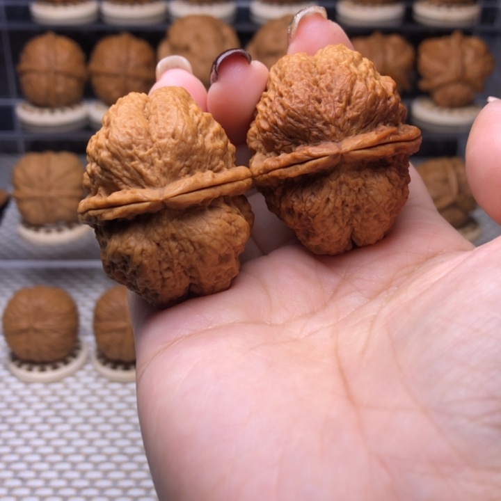 把件文玩核桃24号古树蚂蚁开背40尺