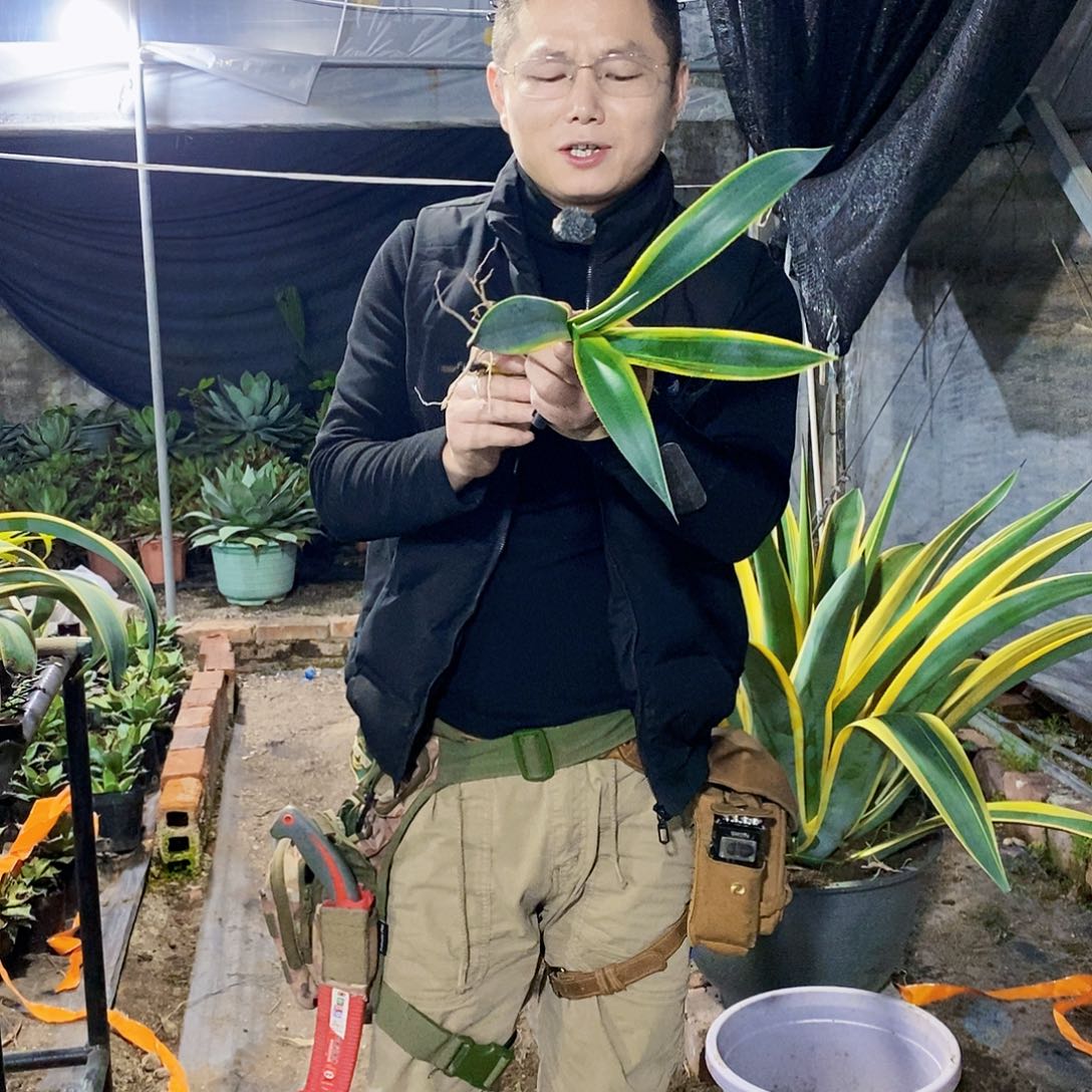 农*威比一颗1111111