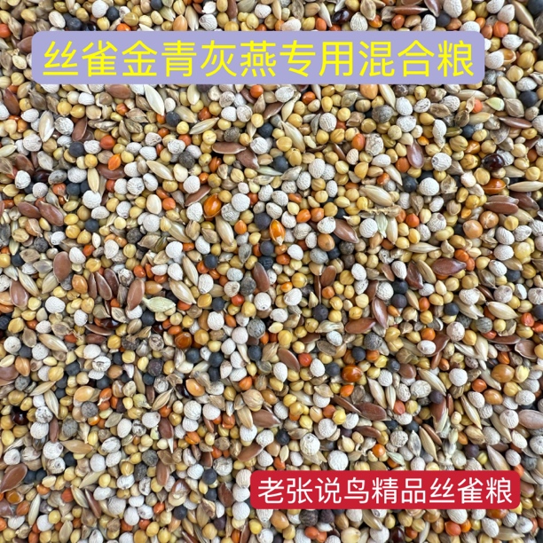 老张说鸟 丝雀繁殖期专用鸟粮十合一混合粮金青灰燕白燕大金黄等