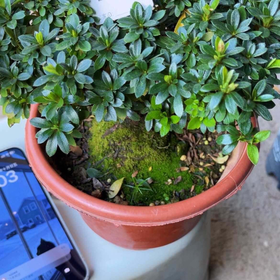 【闪购商品】完全开放堂*