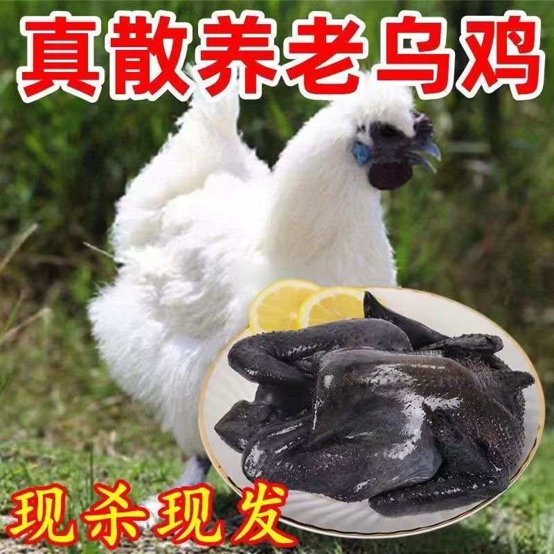 【拍一发三只约5斤】整只速冻农家散养乌鸡整只乌鸡煲汤Z