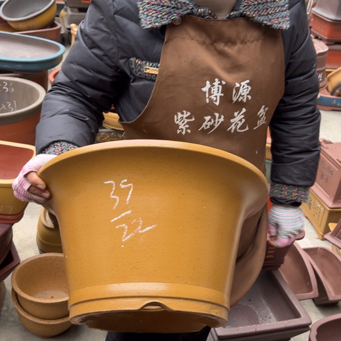 花盆紫砂盆景艺术