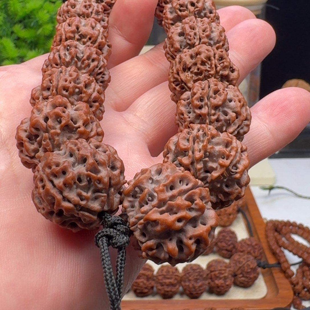 金刚菩提手串铁籽蜂王