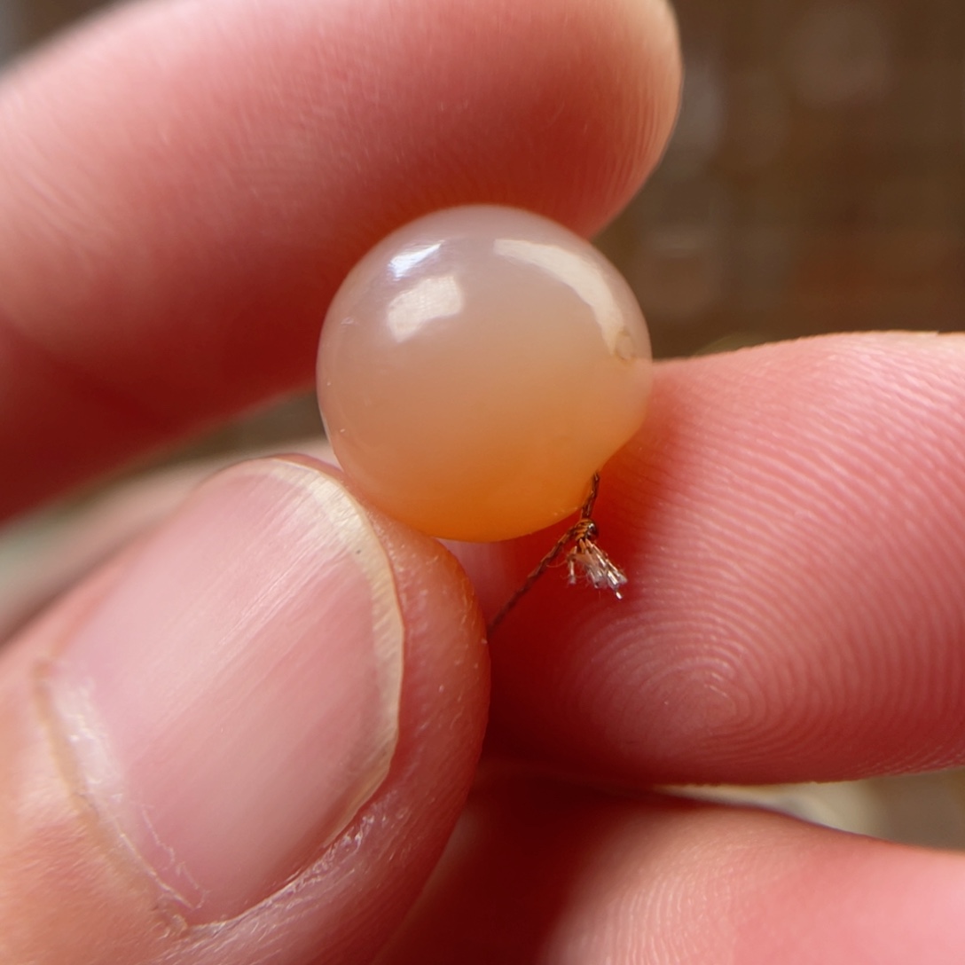 玛瑙/玉髓吊坠(不含链)未镶嵌