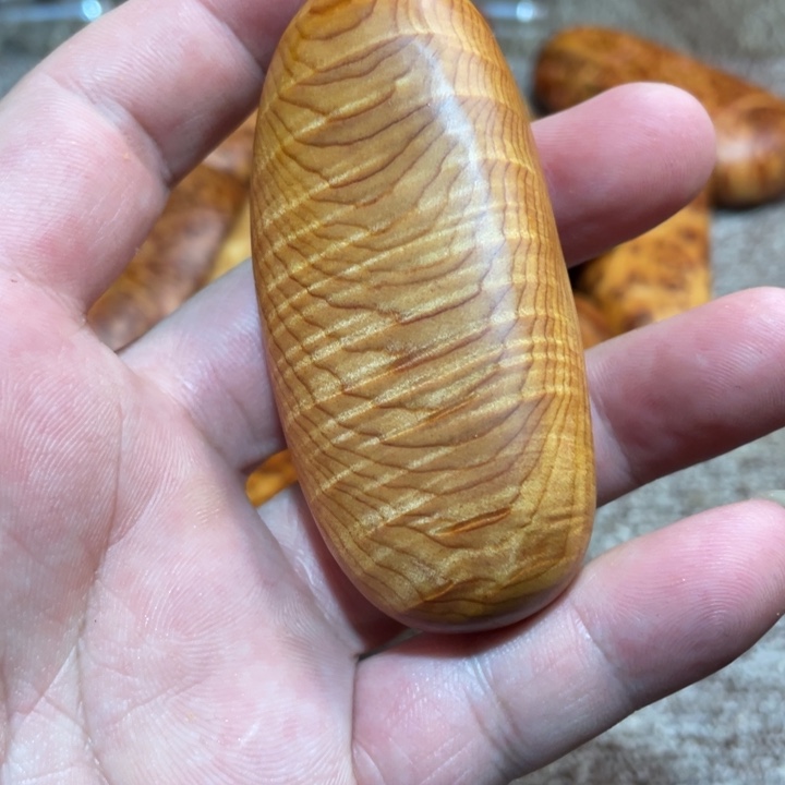 其他柏木（崖柏）把