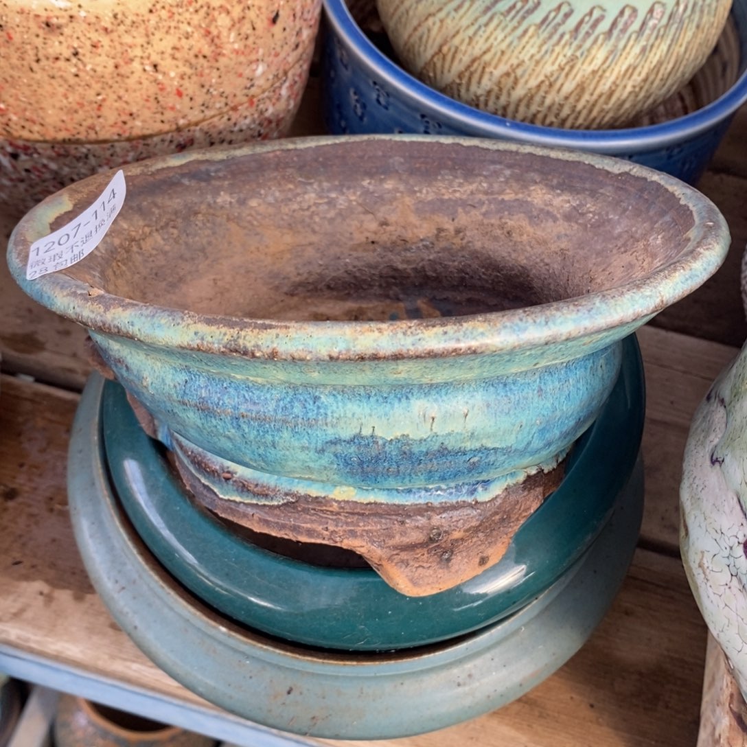 114号多肉盆口径17