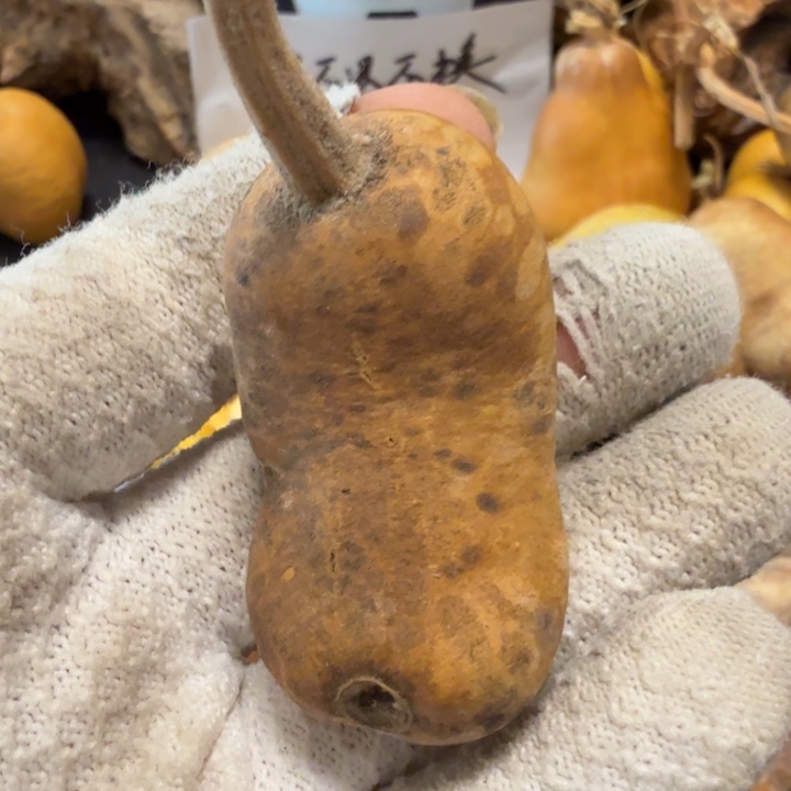 岚***^666666666666777777777