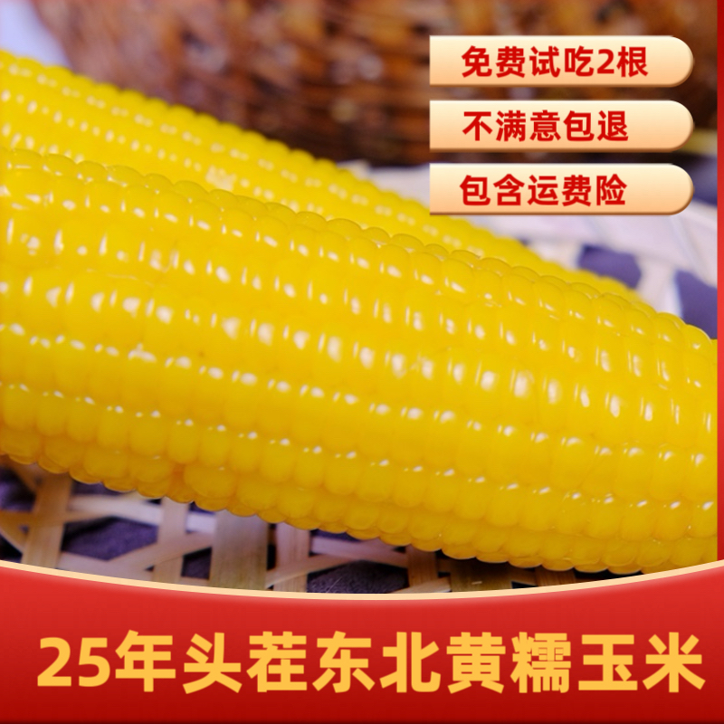 【金佰程】25年头茬东北黄糯玉米260g*10支香甜软糯 