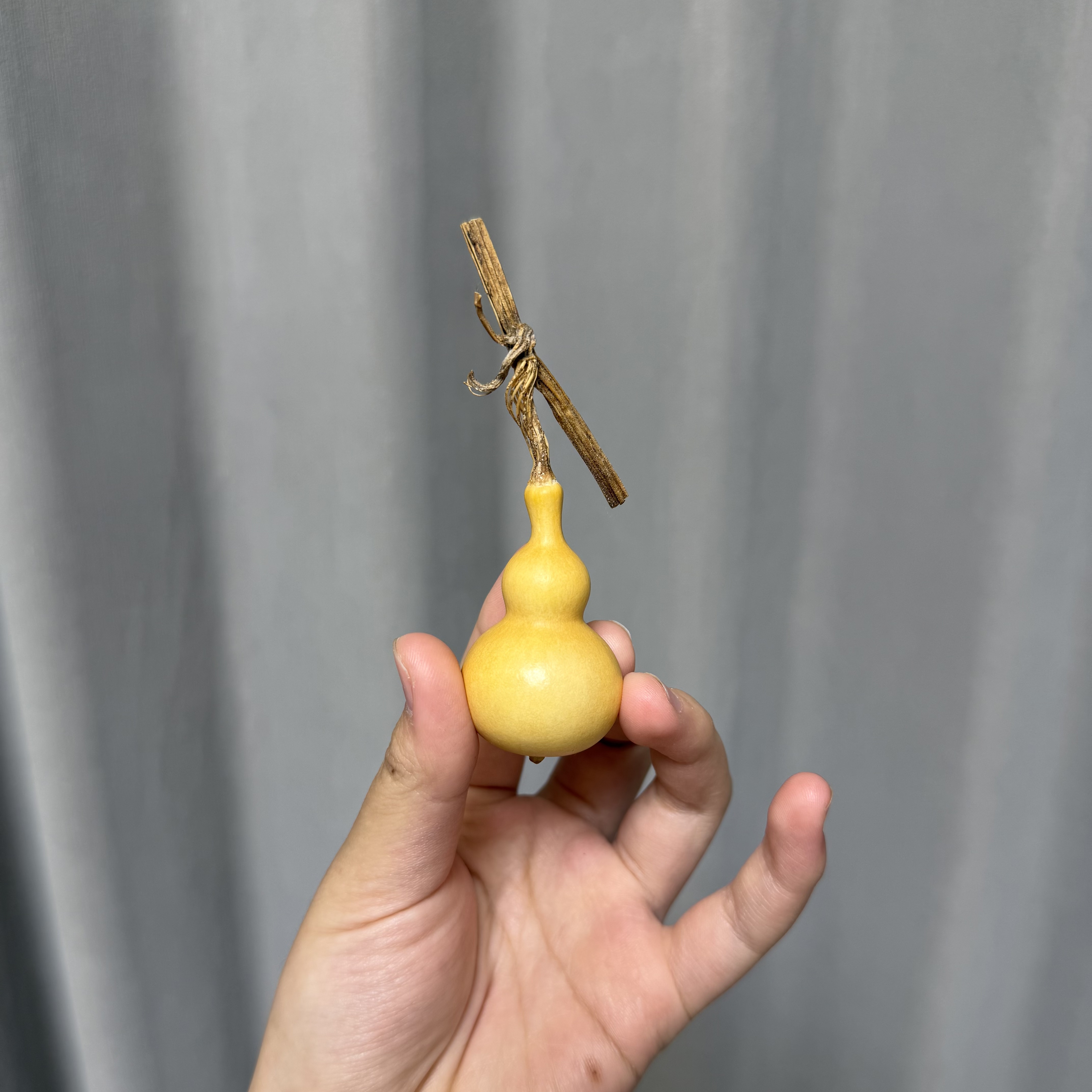 天然手捻葫芦 直播间一物一拍 （请勿自主下单）