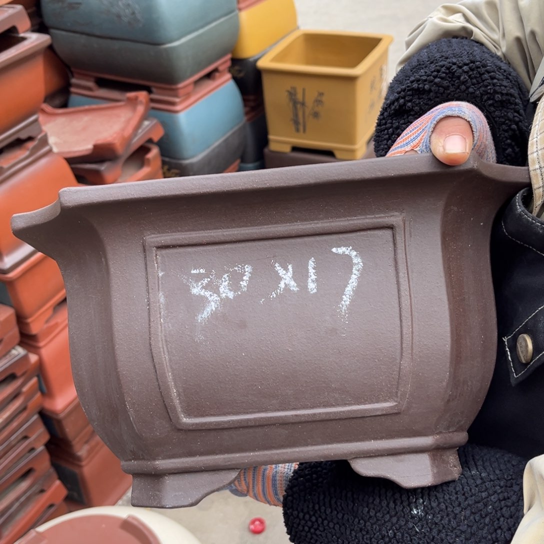 紫砂花盆盆景艺术