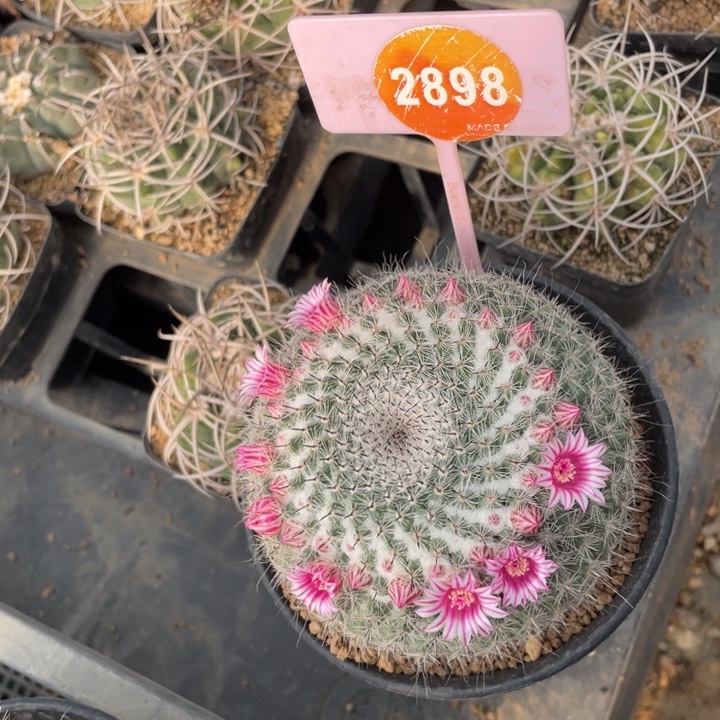 浮***光实生渔翁28980000000