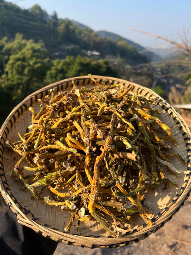 大山深处 深山山货玉竹