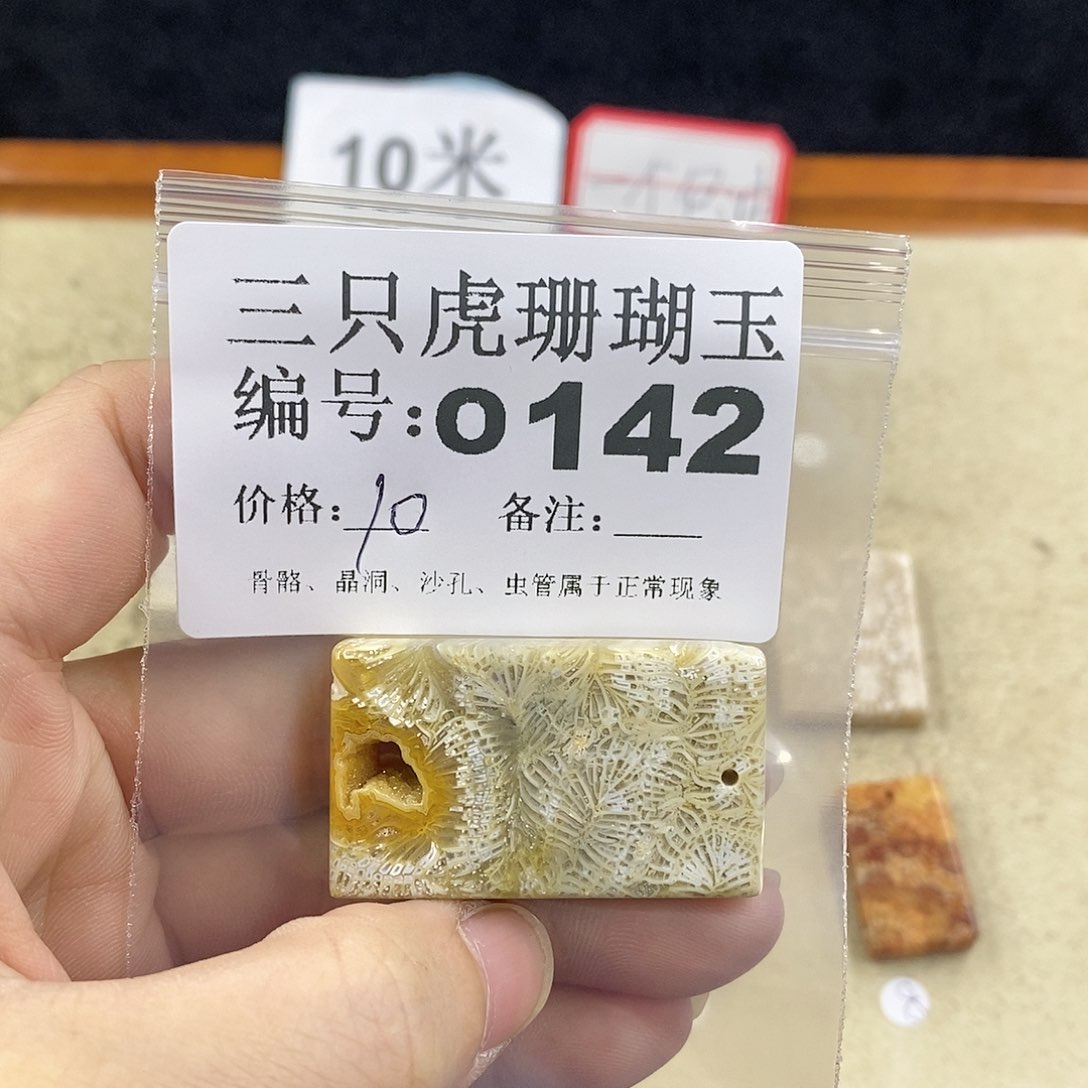 硅化珊瑚（珊瑚玉）1未镶嵌霄**乖