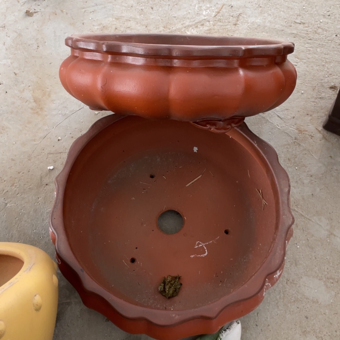 紫砂优品 南瓜 33*12 俩只