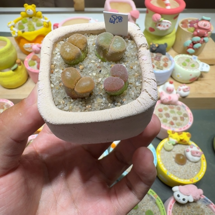 蘑菇272风铃风铃