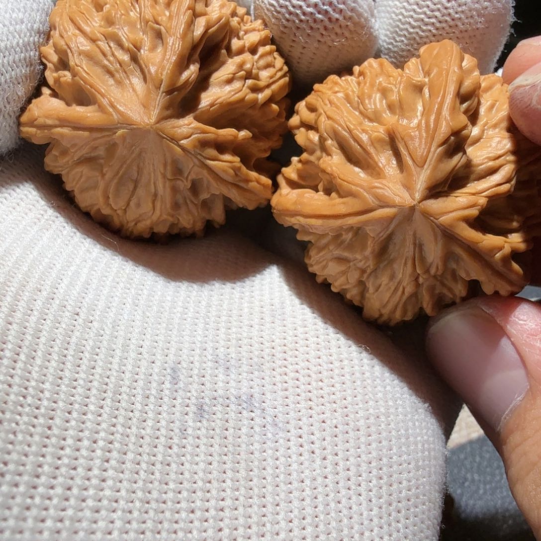 文玩核桃把件御龙正奔