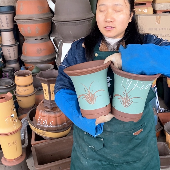 紫砂花盆盆栽花卉苗木种植