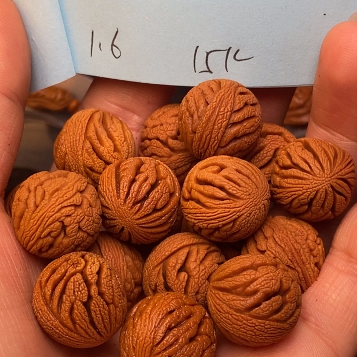 吊坠桃核秦岭龙纹桃核16尺寸