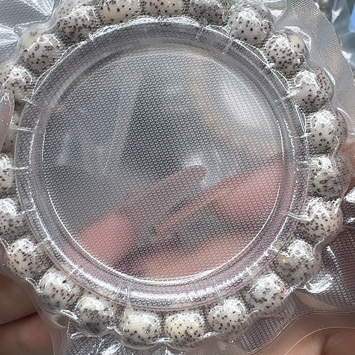 星月菩提手串328练手星月菩提10桶单圈