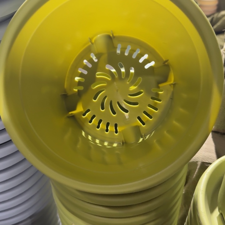 特价3号10个无托果绿