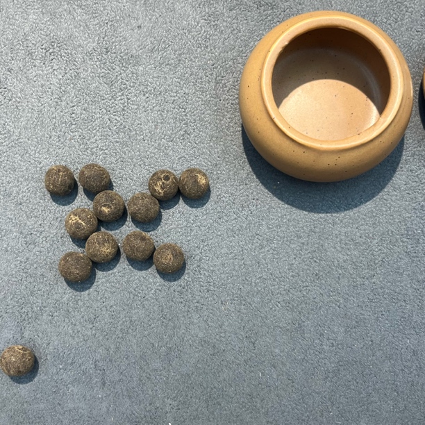 息肌丸香丸一瓶30颗-0363