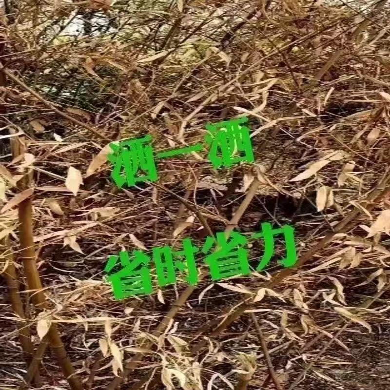 J袋装厂家新配方四季通用颗粒肥配方撒撒即可树草肥