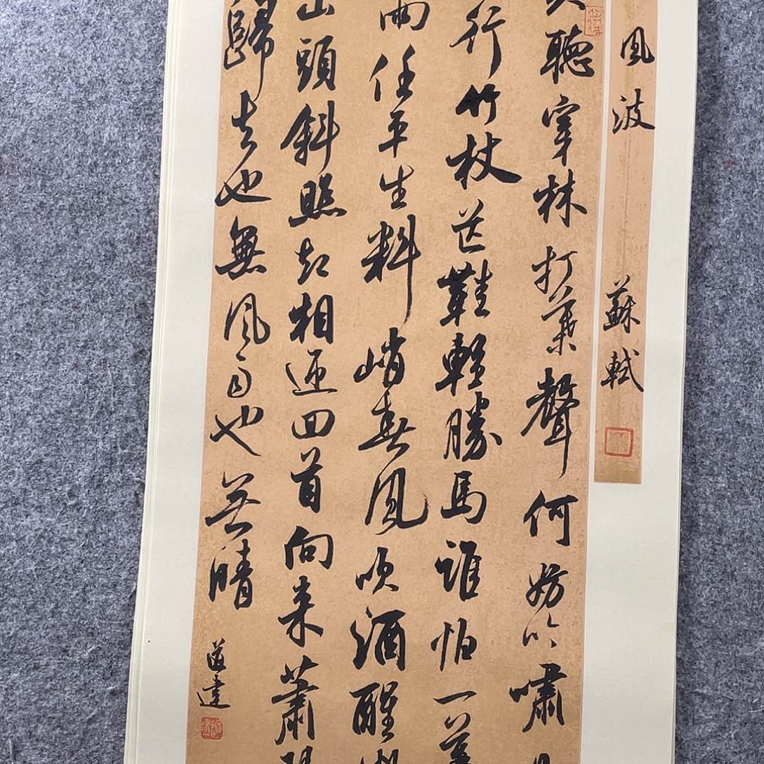 书法中书协会员作品