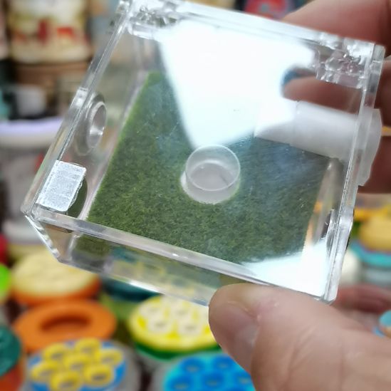 影***子亚克力竹蛉盒两个