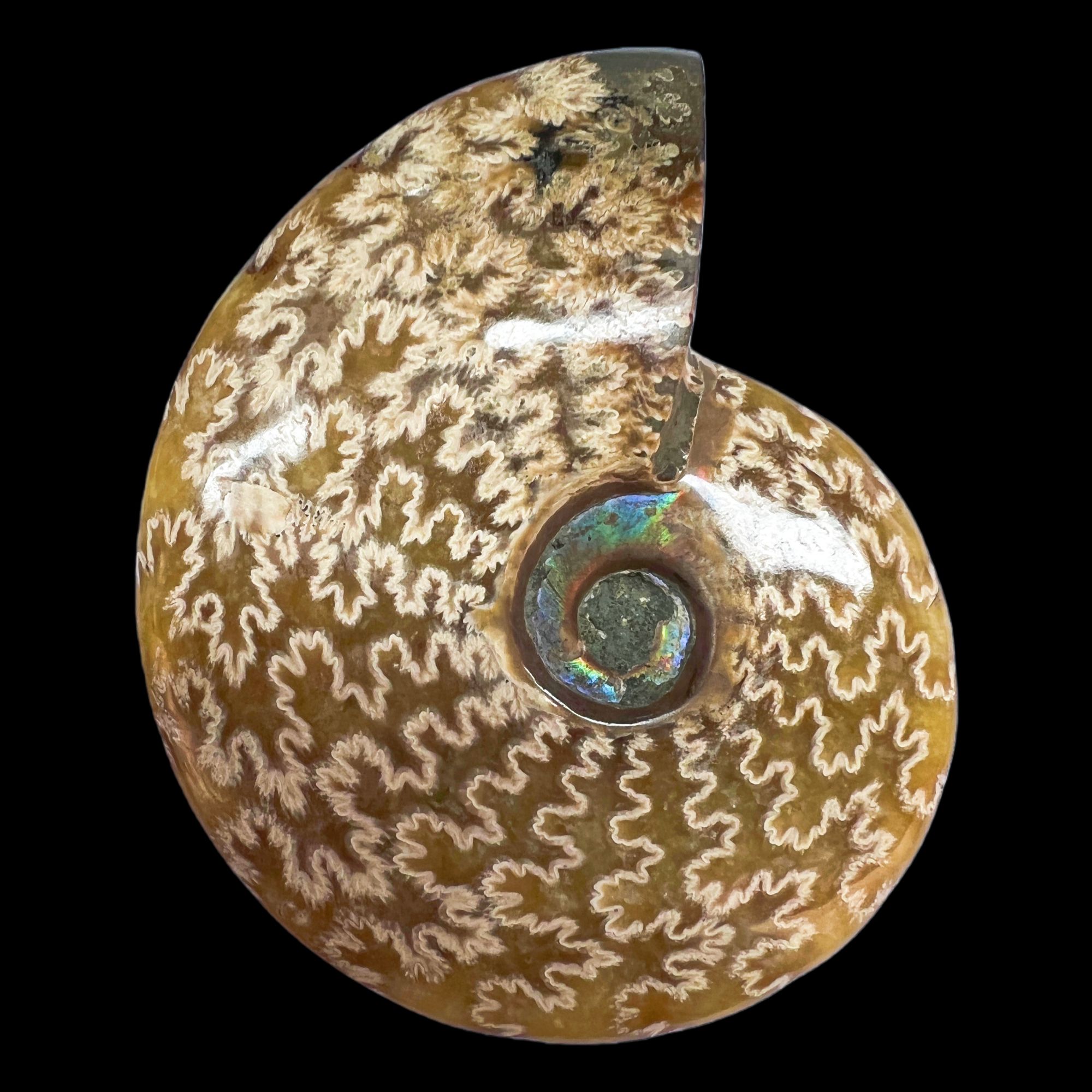 【 叶菊石（ 把件）】97mm 玉化 马达加斯加 N-50  创意饰品 B53