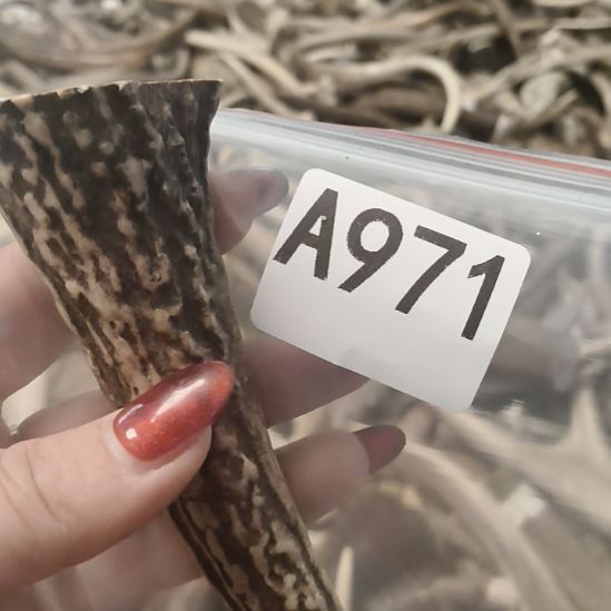 闲***事鹿角鹿角鹿角鹿角鹿角