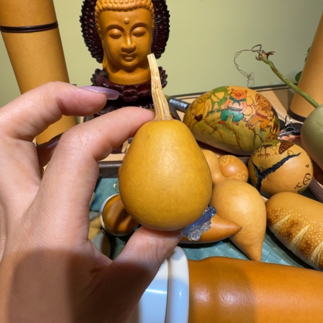 ****睡哈哈哈哈哈哈哈哈哈哈哈