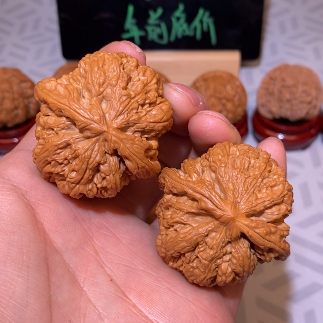 44.5尺粗筋 全品打底精配 球筋