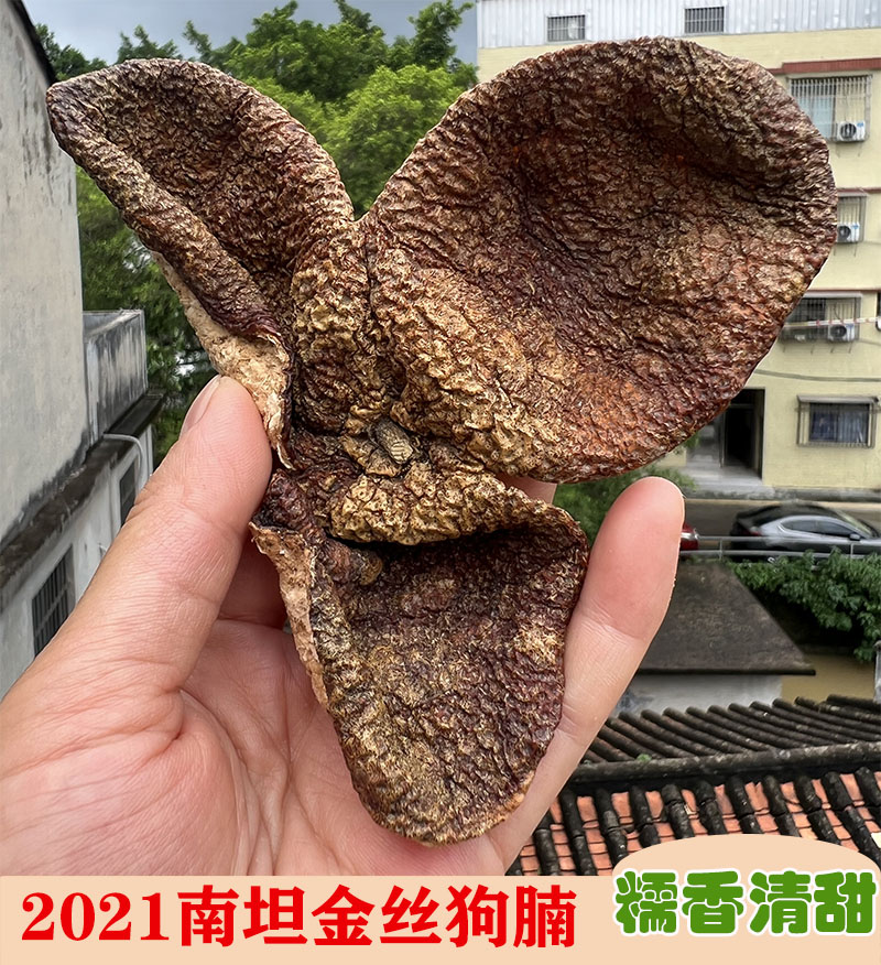 糯香清甜2021正宗新会南坦圈枝金丝狗腩皮大红皮干仓泡茶入膳煲汤