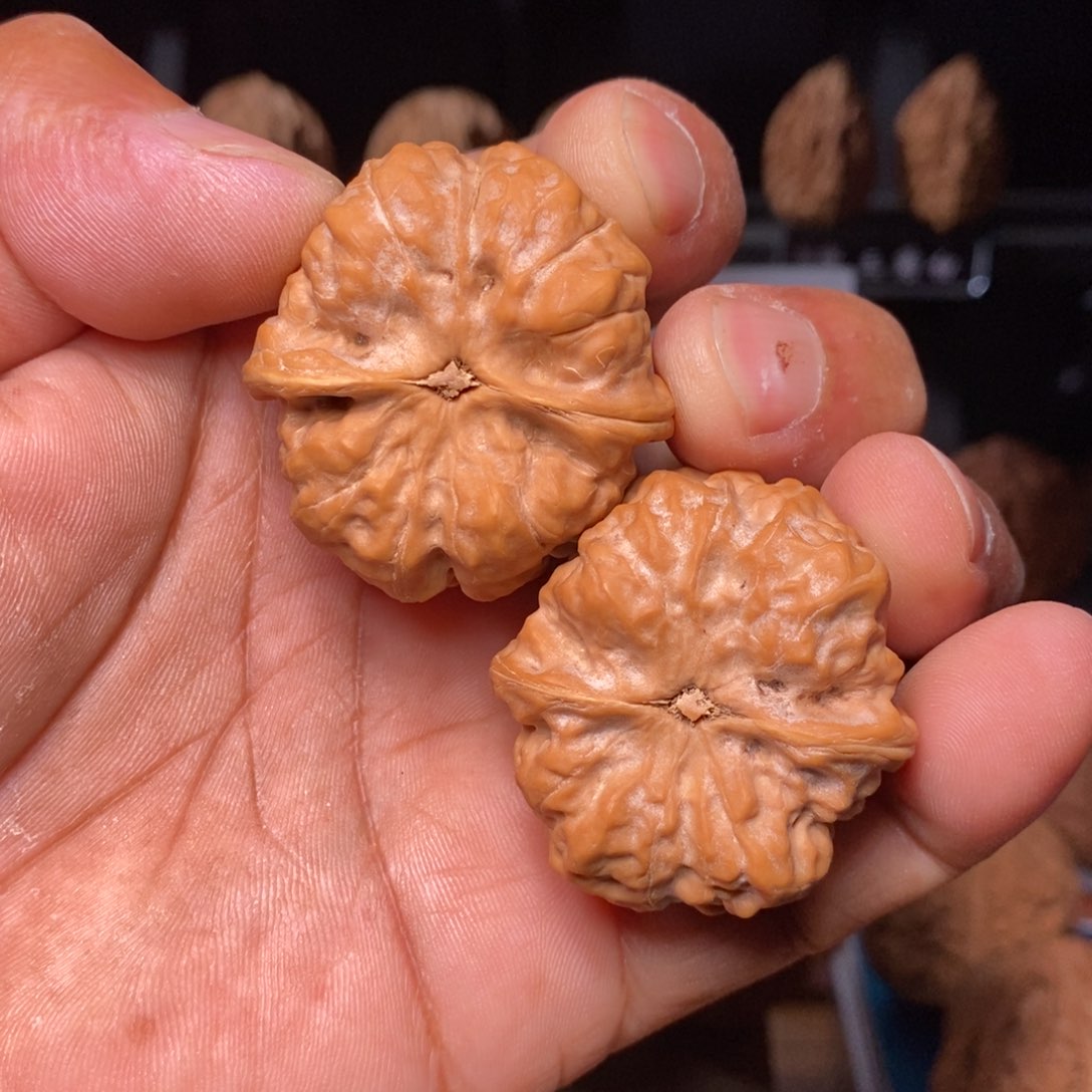 文玩核桃把件红皮山地蛙