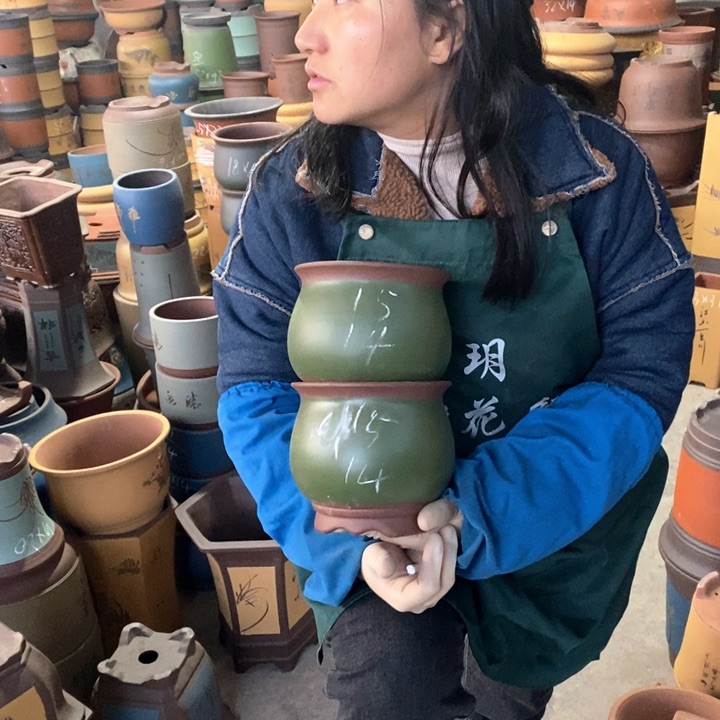 紫砂花盆盆栽花卉苗木种植