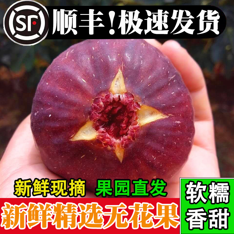 【顺丰冷链】四川新鲜无花果当季时令水果软糯香甜现摘现发鲜果批发