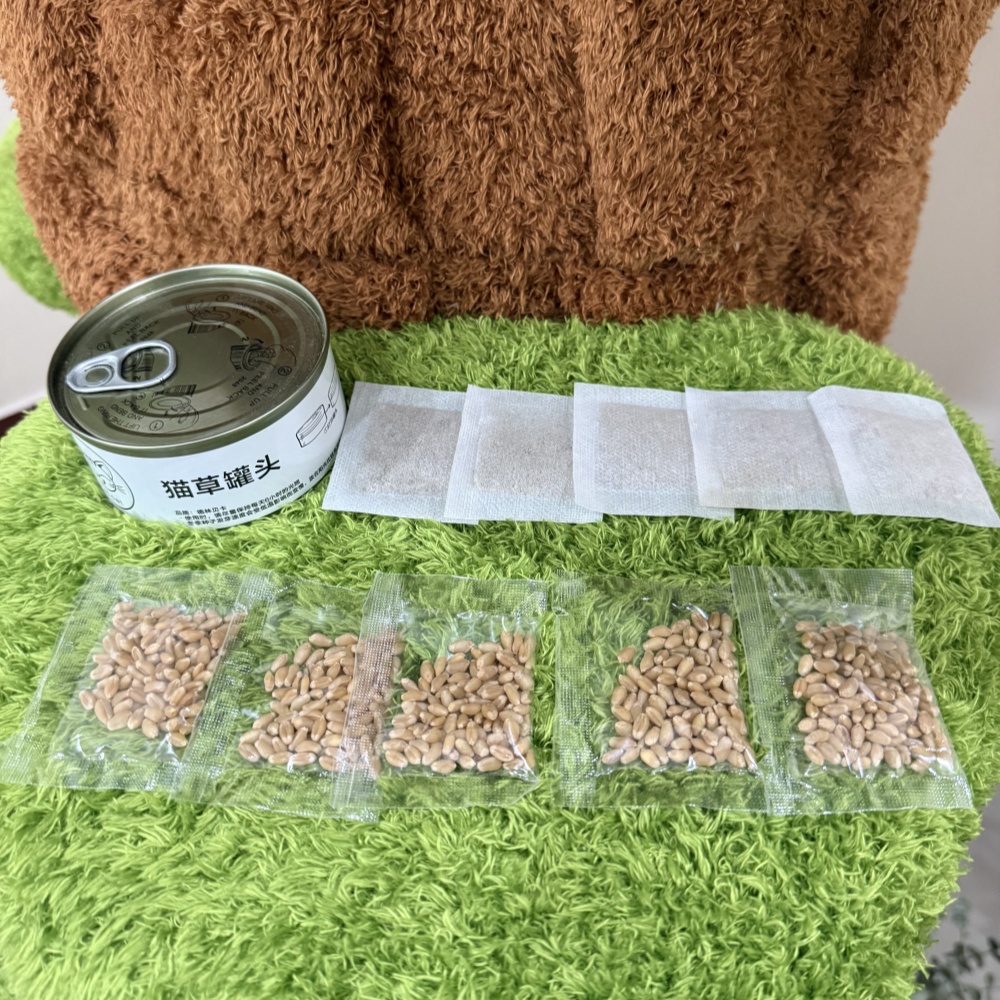 老板娘宠粉专用 猫草罐头+5包猫草种子+5包猫薄荷