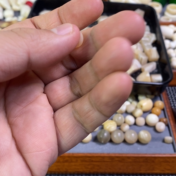 W***w大叶紫檀（黑酸枝木类）