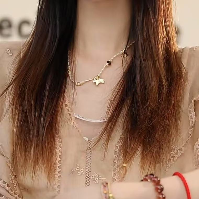FANRUI/泛芮「同款项链」小众轻奢洋气高级感挂脖项链B16288