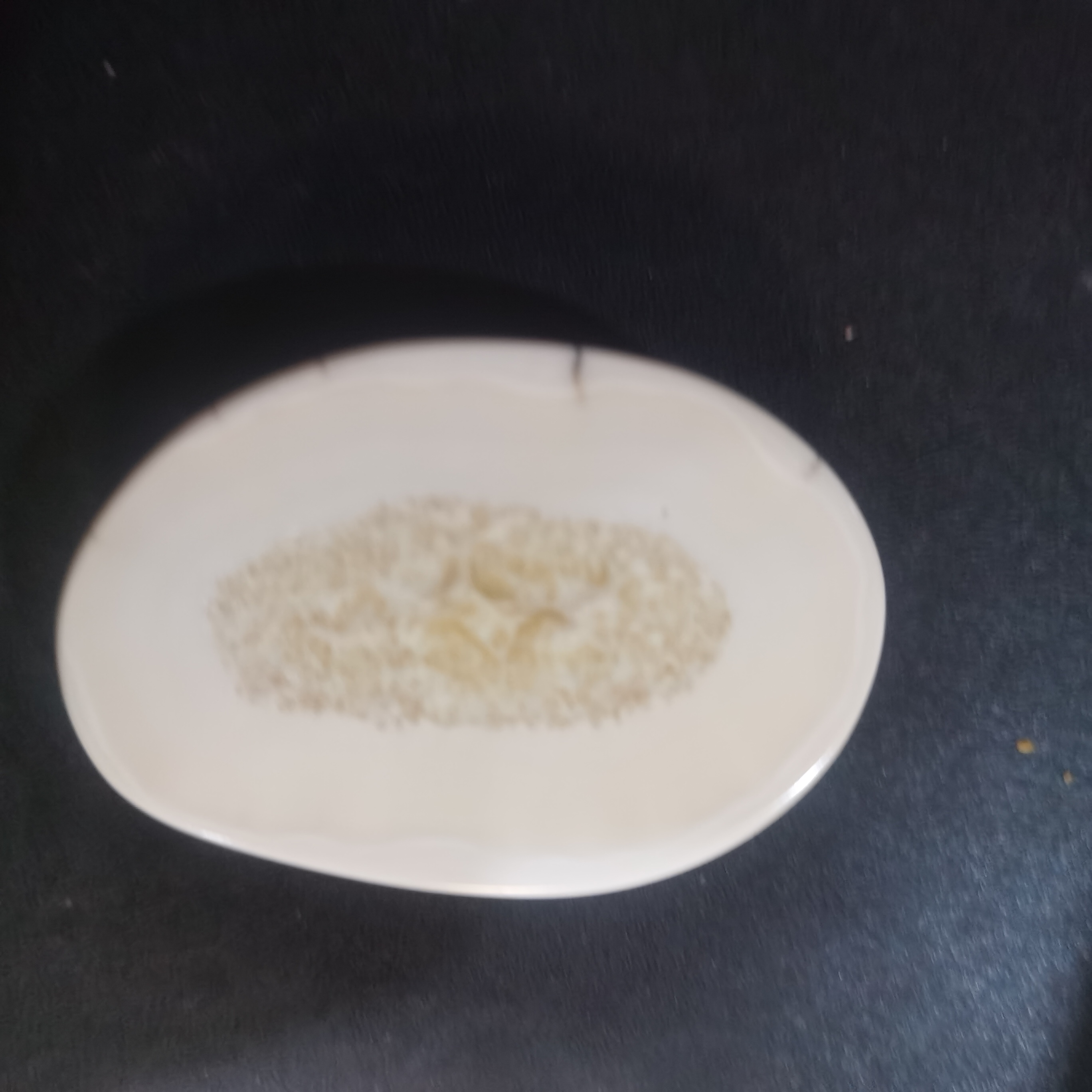 猛犸猛犸虬饼子 WT240