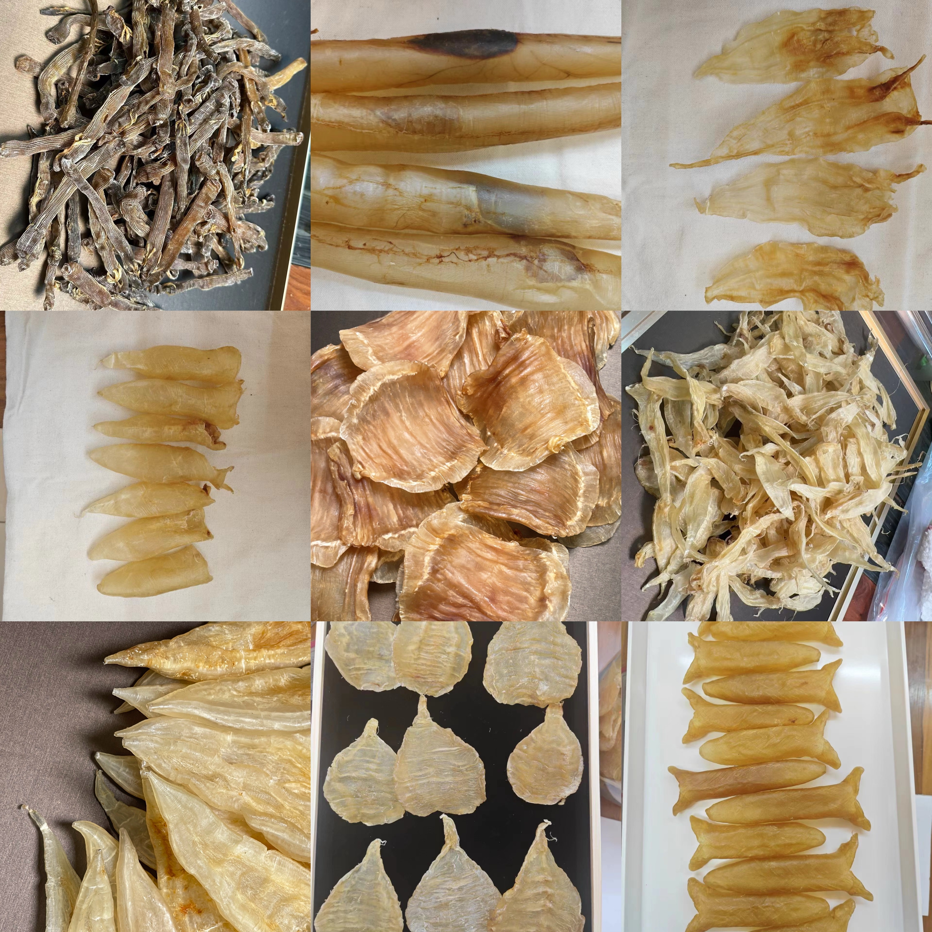 海之珍花胶鱼胶活动综合链接