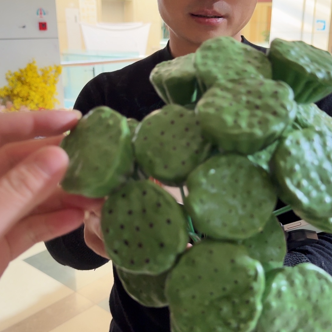 绿色莲蓬打包20支